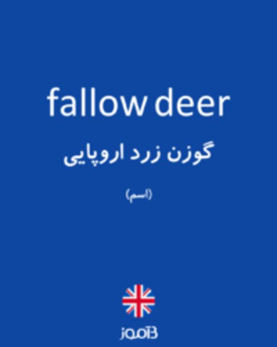  تصویر fallow deer - دیکشنری انگلیسی بیاموز