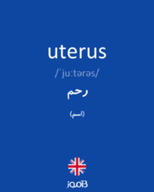  تصویر uterus - دیکشنری انگلیسی بیاموز