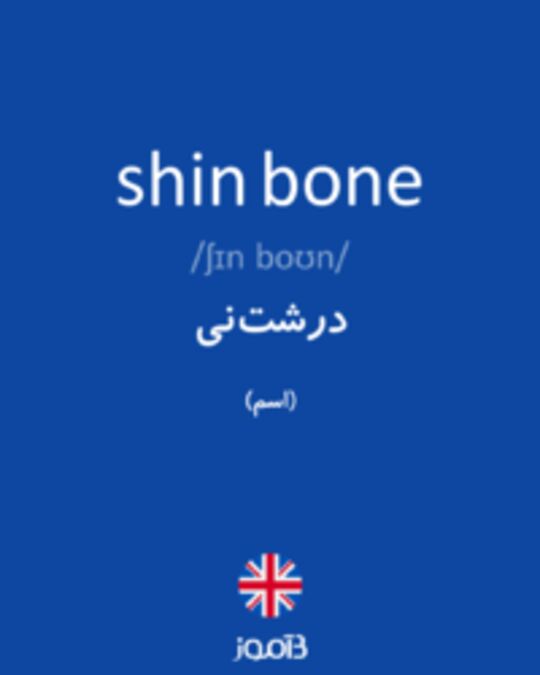  تصویر shin bone - دیکشنری انگلیسی بیاموز