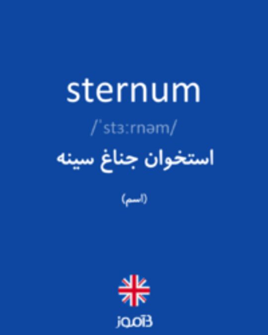  تصویر sternum - دیکشنری انگلیسی بیاموز
