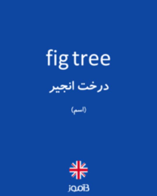  تصویر fig tree - دیکشنری انگلیسی بیاموز