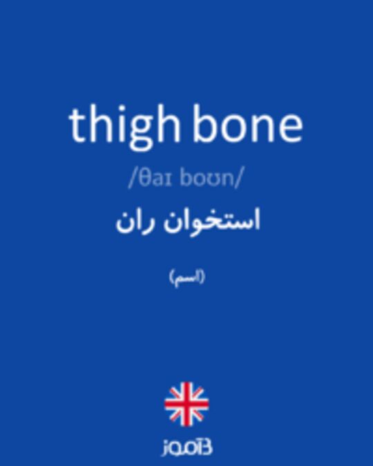  تصویر thigh bone - دیکشنری انگلیسی بیاموز