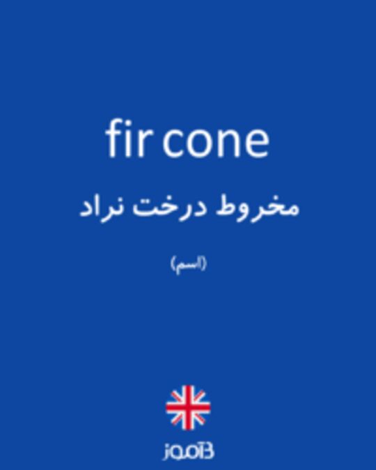  تصویر fir cone - دیکشنری انگلیسی بیاموز