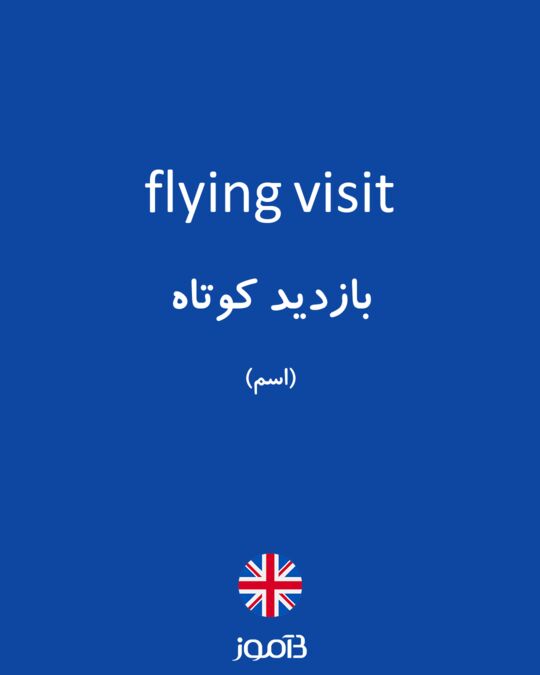 flying visit english meaning