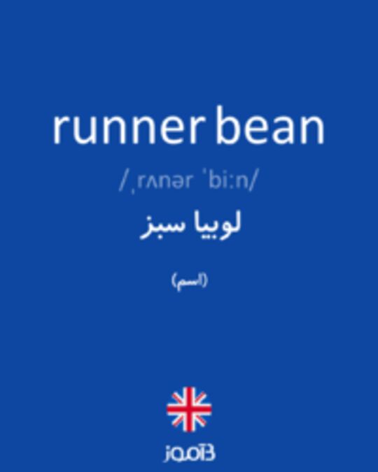  تصویر runner bean - دیکشنری انگلیسی بیاموز