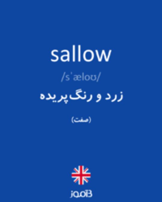  تصویر sallow - دیکشنری انگلیسی بیاموز