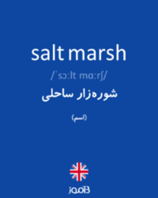  تصویر salt marsh - دیکشنری انگلیسی بیاموز