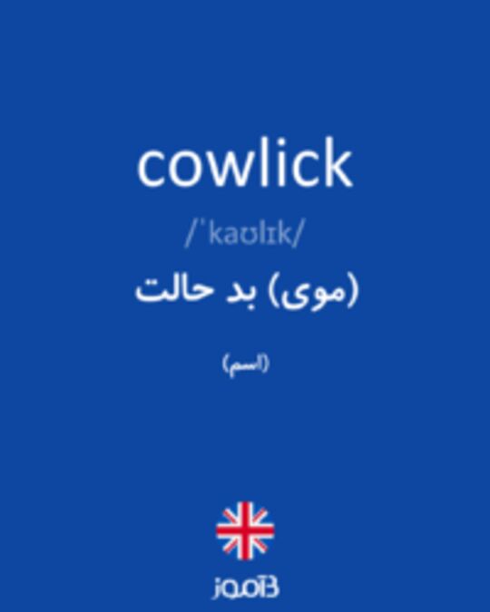  تصویر cowlick - دیکشنری انگلیسی بیاموز