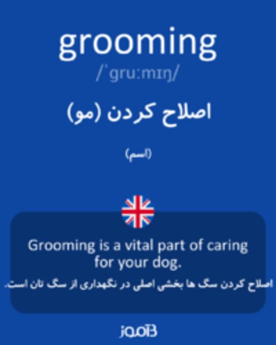  تصویر grooming - دیکشنری انگلیسی بیاموز