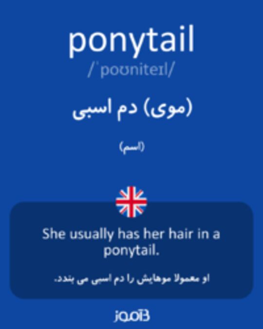 تصویر ponytail - دیکشنری انگلیسی بیاموز