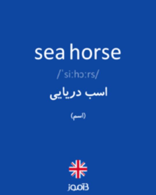  تصویر sea horse - دیکشنری انگلیسی بیاموز