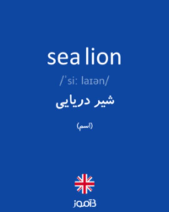  تصویر sea lion - دیکشنری انگلیسی بیاموز