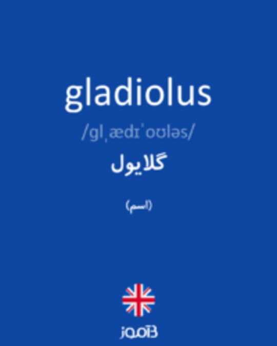  تصویر gladiolus - دیکشنری انگلیسی بیاموز