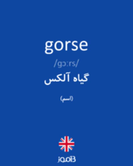  تصویر gorse - دیکشنری انگلیسی بیاموز