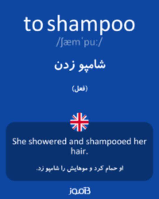  تصویر to shampoo - دیکشنری انگلیسی بیاموز