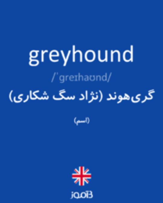  تصویر greyhound - دیکشنری انگلیسی بیاموز
