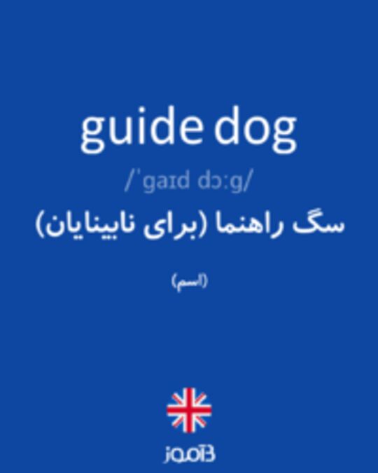  تصویر guide dog - دیکشنری انگلیسی بیاموز