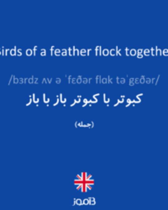  تصویر Birds of a feather flock together - دیکشنری انگلیسی بیاموز