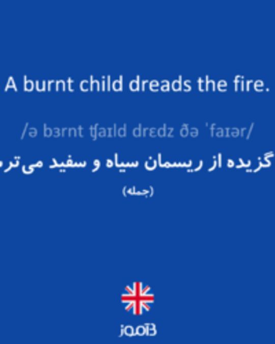  تصویر A burnt child dreads the fire. - دیکشنری انگلیسی بیاموز
