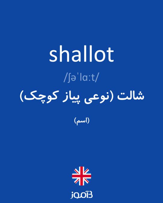 SHALLOT - Definição e sinônimos de shallot no dicionário inglês