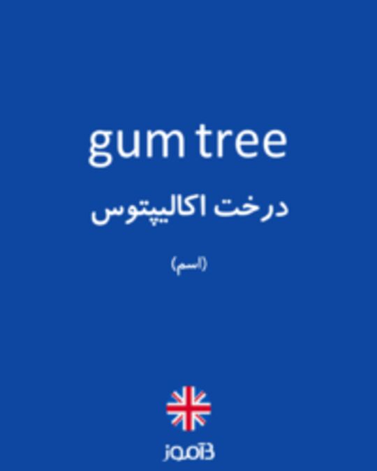  تصویر gum tree - دیکشنری انگلیسی بیاموز