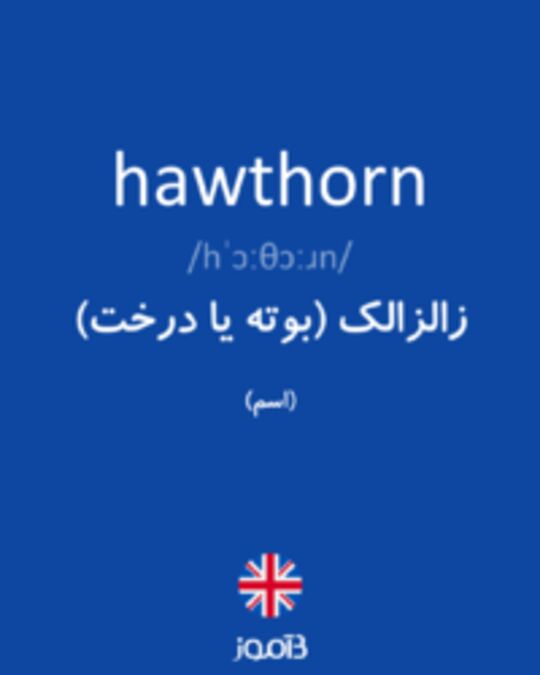  تصویر hawthorn - دیکشنری انگلیسی بیاموز