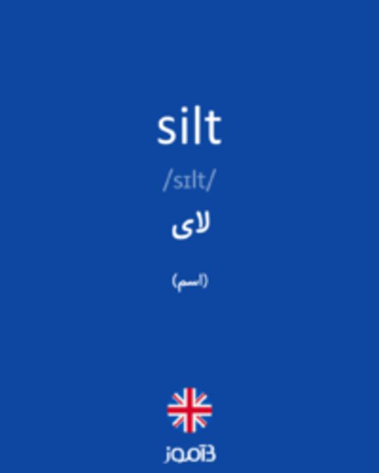  تصویر silt - دیکشنری انگلیسی بیاموز