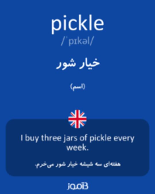  تصویر pickle - دیکشنری انگلیسی بیاموز