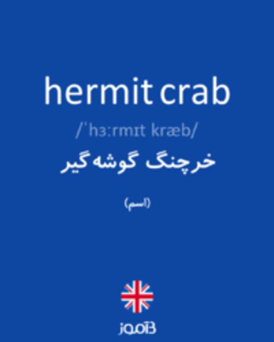  تصویر hermit crab - دیکشنری انگلیسی بیاموز