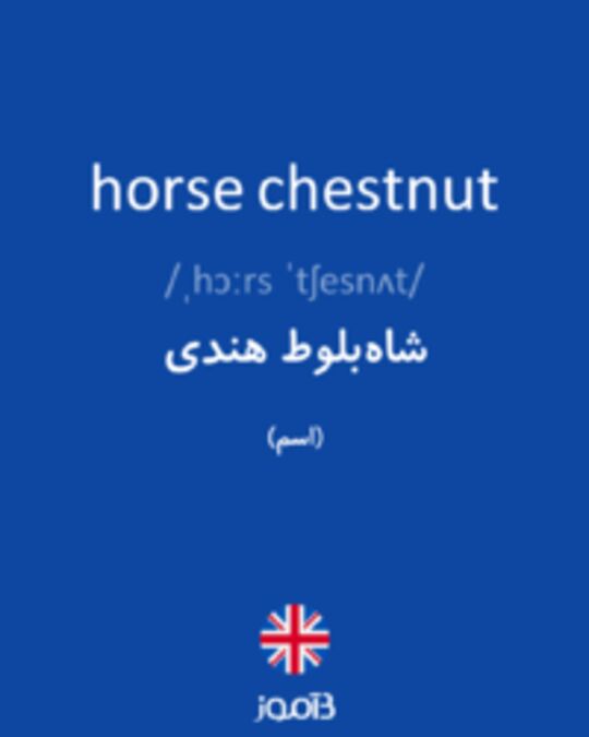  تصویر horse chestnut - دیکشنری انگلیسی بیاموز