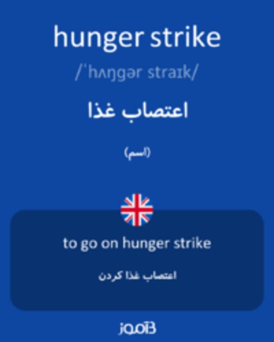  تصویر hunger strike - دیکشنری انگلیسی بیاموز