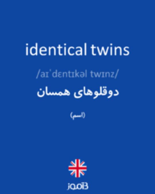  تصویر identical twins - دیکشنری انگلیسی بیاموز