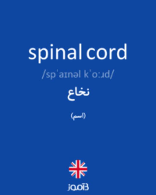 تصویر spinal cord - دیکشنری انگلیسی بیاموز