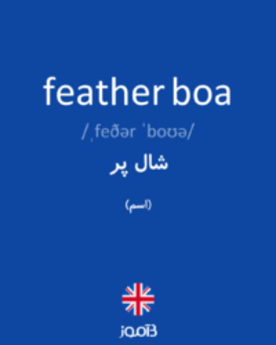  تصویر feather boa - دیکشنری انگلیسی بیاموز