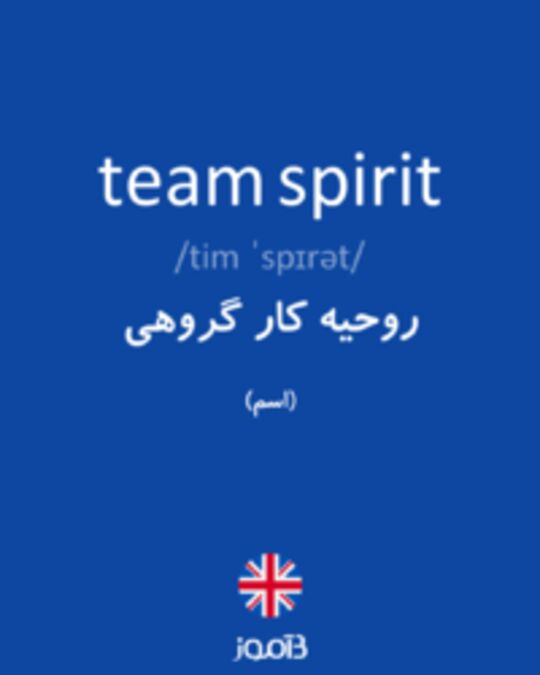  تصویر team spirit - دیکشنری انگلیسی بیاموز