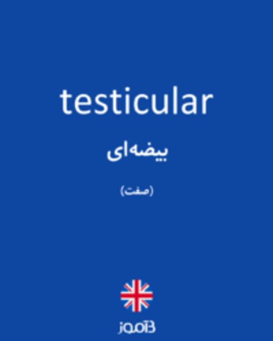  تصویر testicular - دیکشنری انگلیسی بیاموز