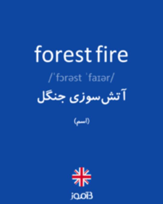  تصویر forest fire - دیکشنری انگلیسی بیاموز
