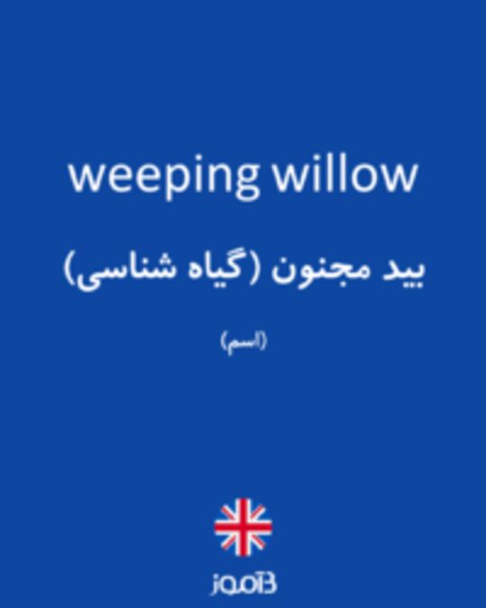  تصویر weeping willow - دیکشنری انگلیسی بیاموز
