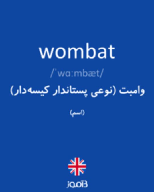  تصویر wombat - دیکشنری انگلیسی بیاموز