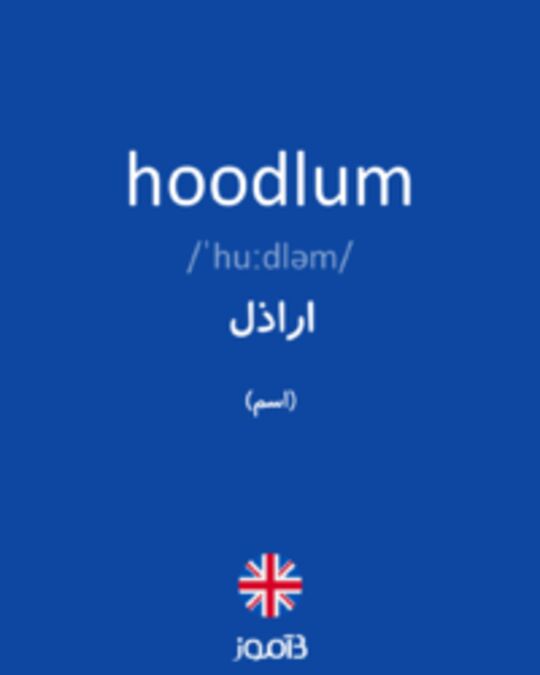  تصویر hoodlum - دیکشنری انگلیسی بیاموز