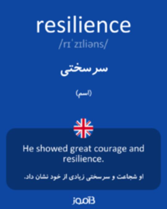  تصویر resilience - دیکشنری انگلیسی بیاموز