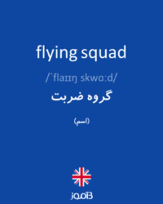  تصویر flying squad - دیکشنری انگلیسی بیاموز