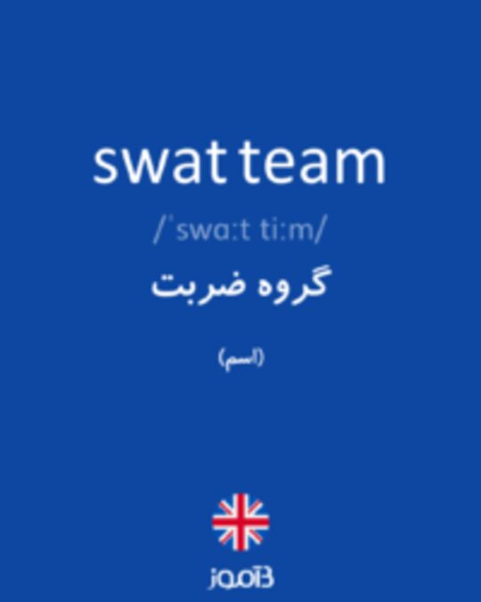  تصویر swat team - دیکشنری انگلیسی بیاموز