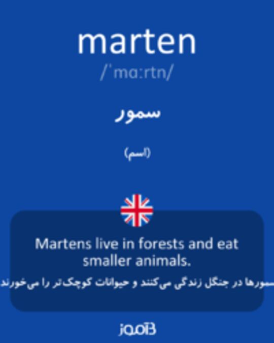  تصویر marten - دیکشنری انگلیسی بیاموز