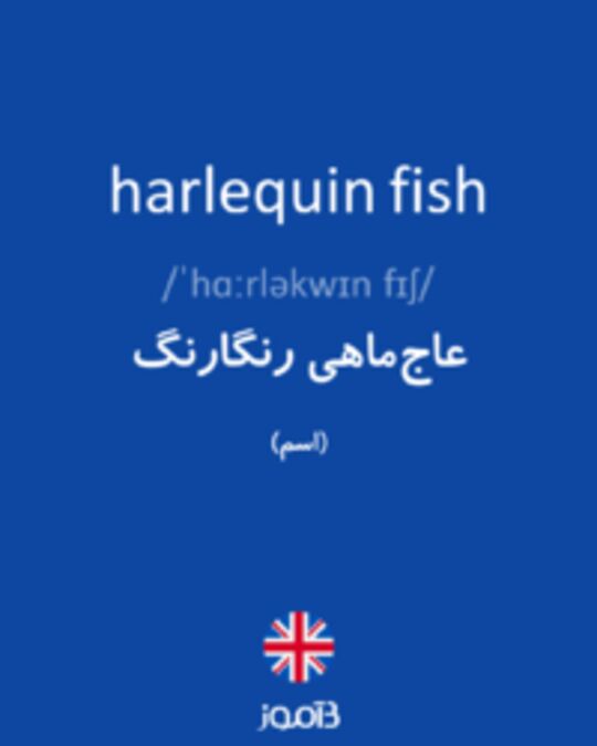  تصویر harlequin fish - دیکشنری انگلیسی بیاموز