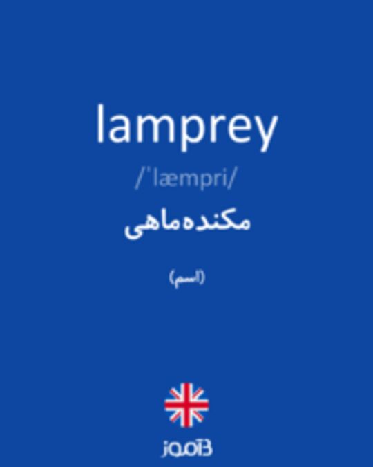  تصویر lamprey - دیکشنری انگلیسی بیاموز