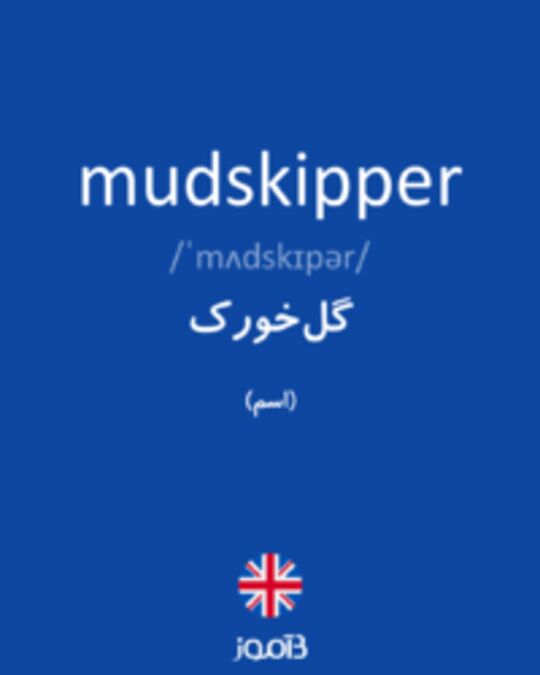  تصویر mudskipper - دیکشنری انگلیسی بیاموز