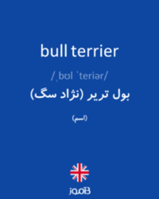  تصویر bull terrier - دیکشنری انگلیسی بیاموز