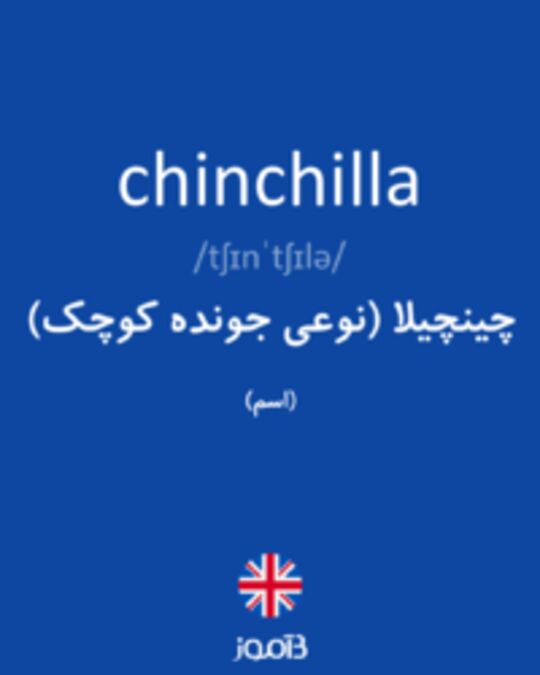  تصویر chinchilla - دیکشنری انگلیسی بیاموز