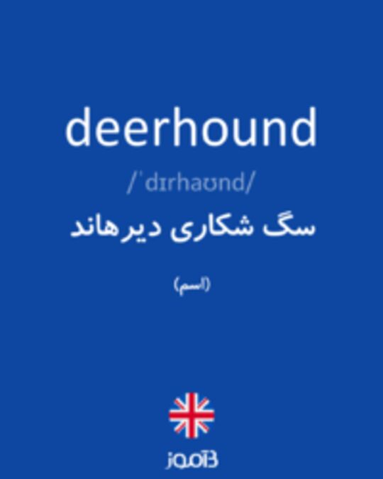  تصویر deerhound - دیکشنری انگلیسی بیاموز